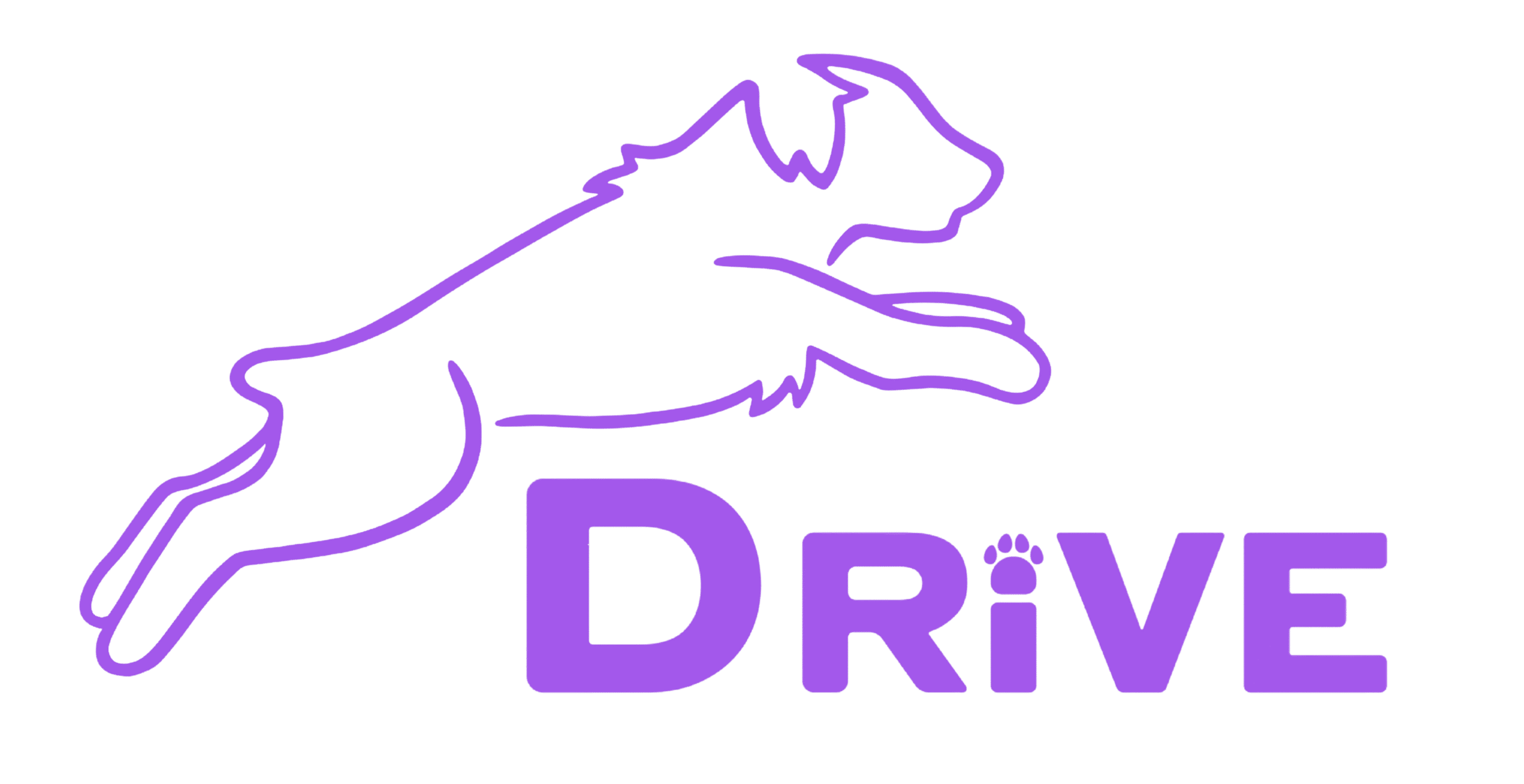 Drive Educació Canina